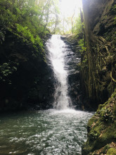 Petite cascade de Monteverde